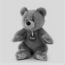 Teddybear1982
